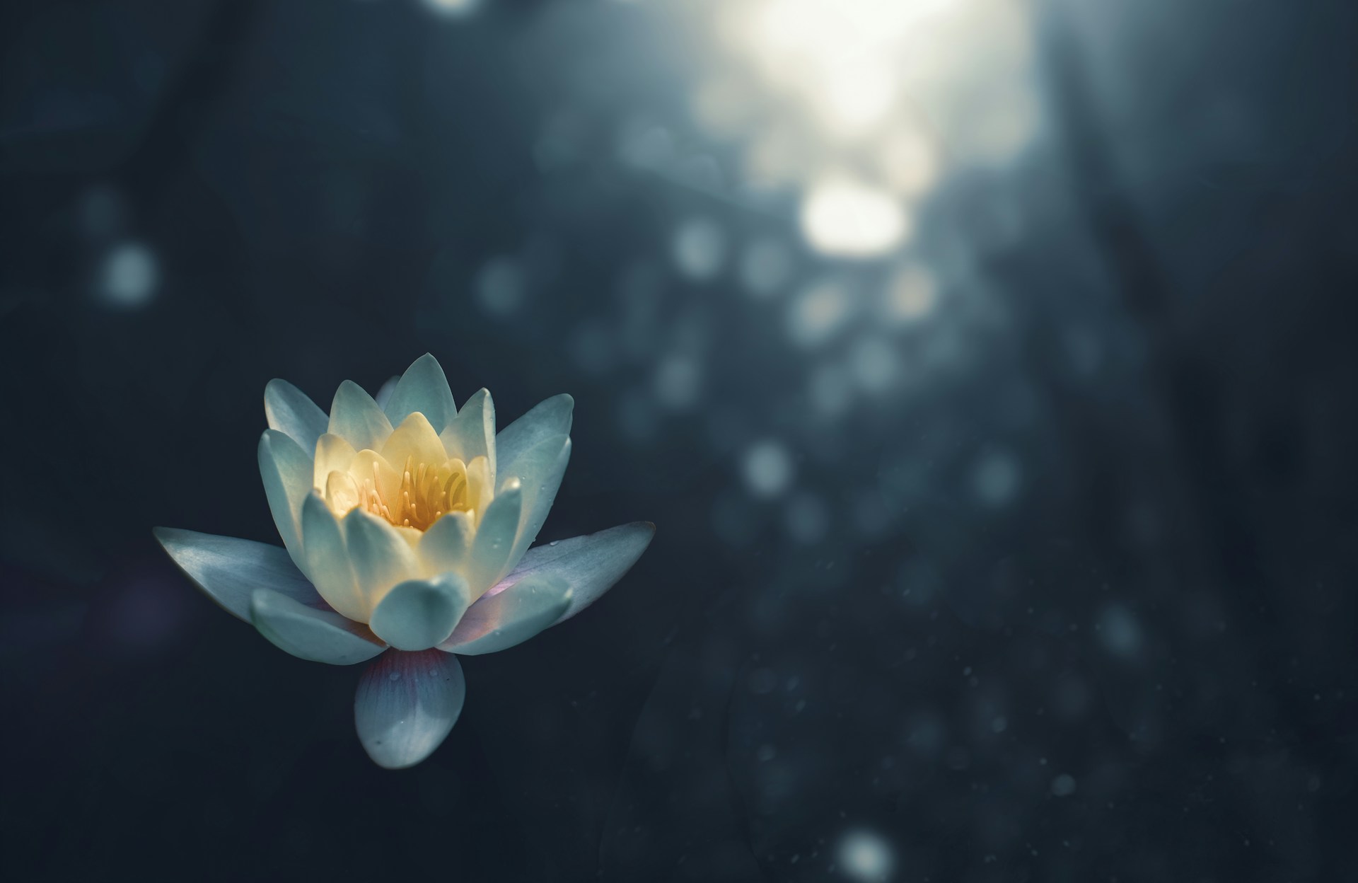 Is Meditation More Pleasurable Than Sex?