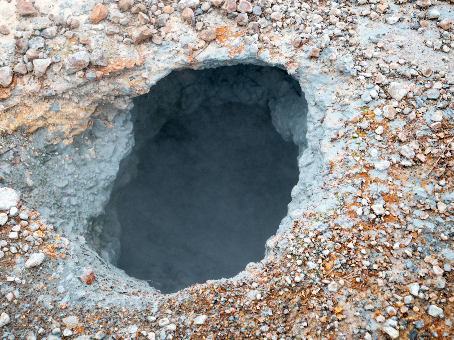 Snug Like A Bug In A… Hole